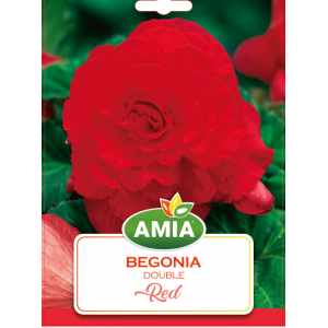 Bulbi Begonia Double Red, calibru 5/6, 2 bucati, AMIA